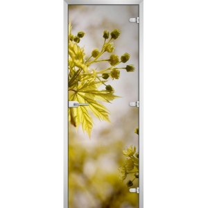 Дверь межкомнатная серия Flowers-09