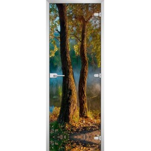 Дверь межкомнатная серия Forest-06